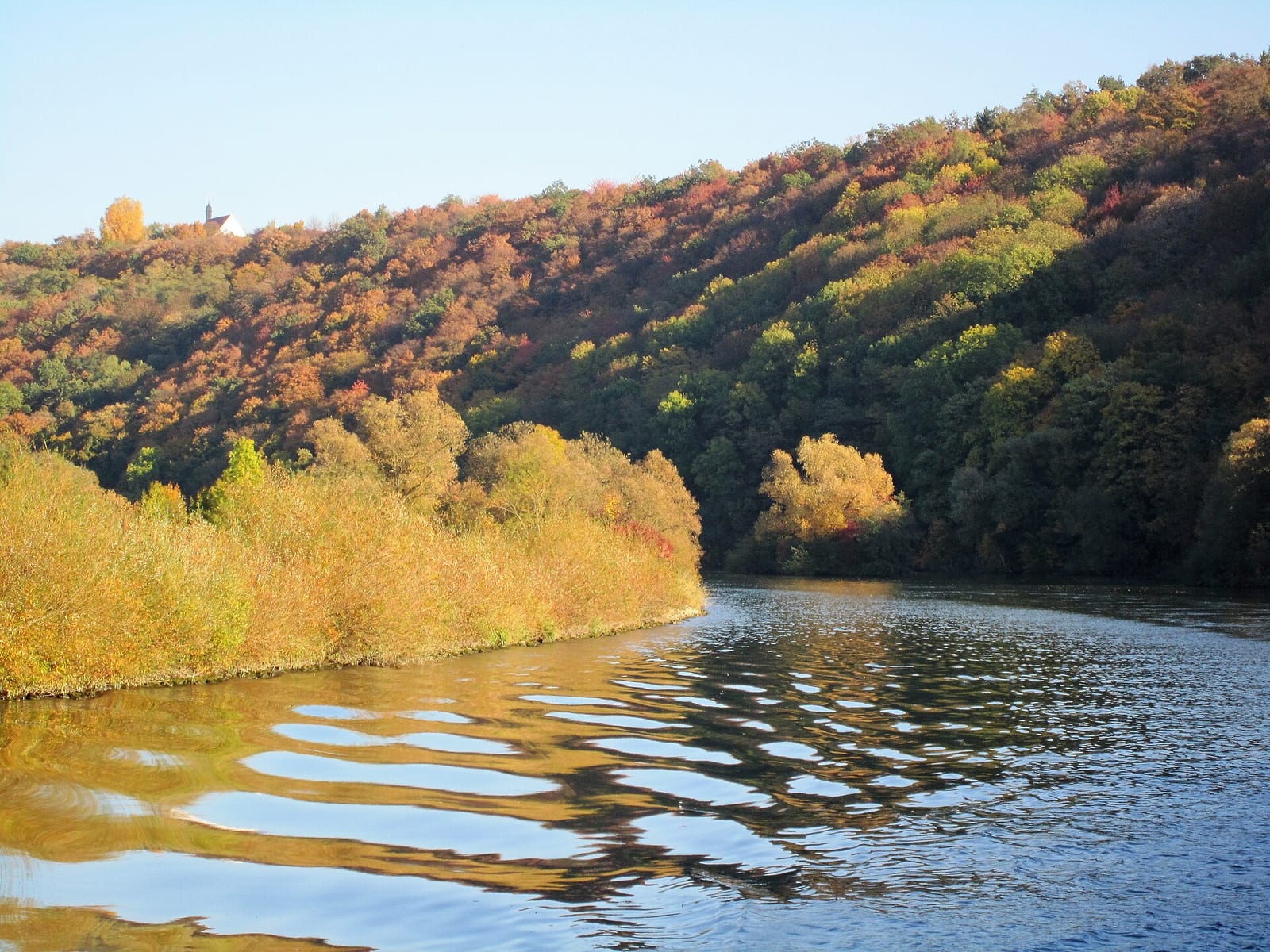 Die Mainschleife bei Volkach mit Weinbergen entlang des Flusses