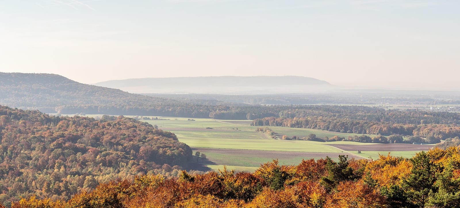 Blick vom Baumwipfelpfad bei Ebrach über die Wälder des Steigerwalds