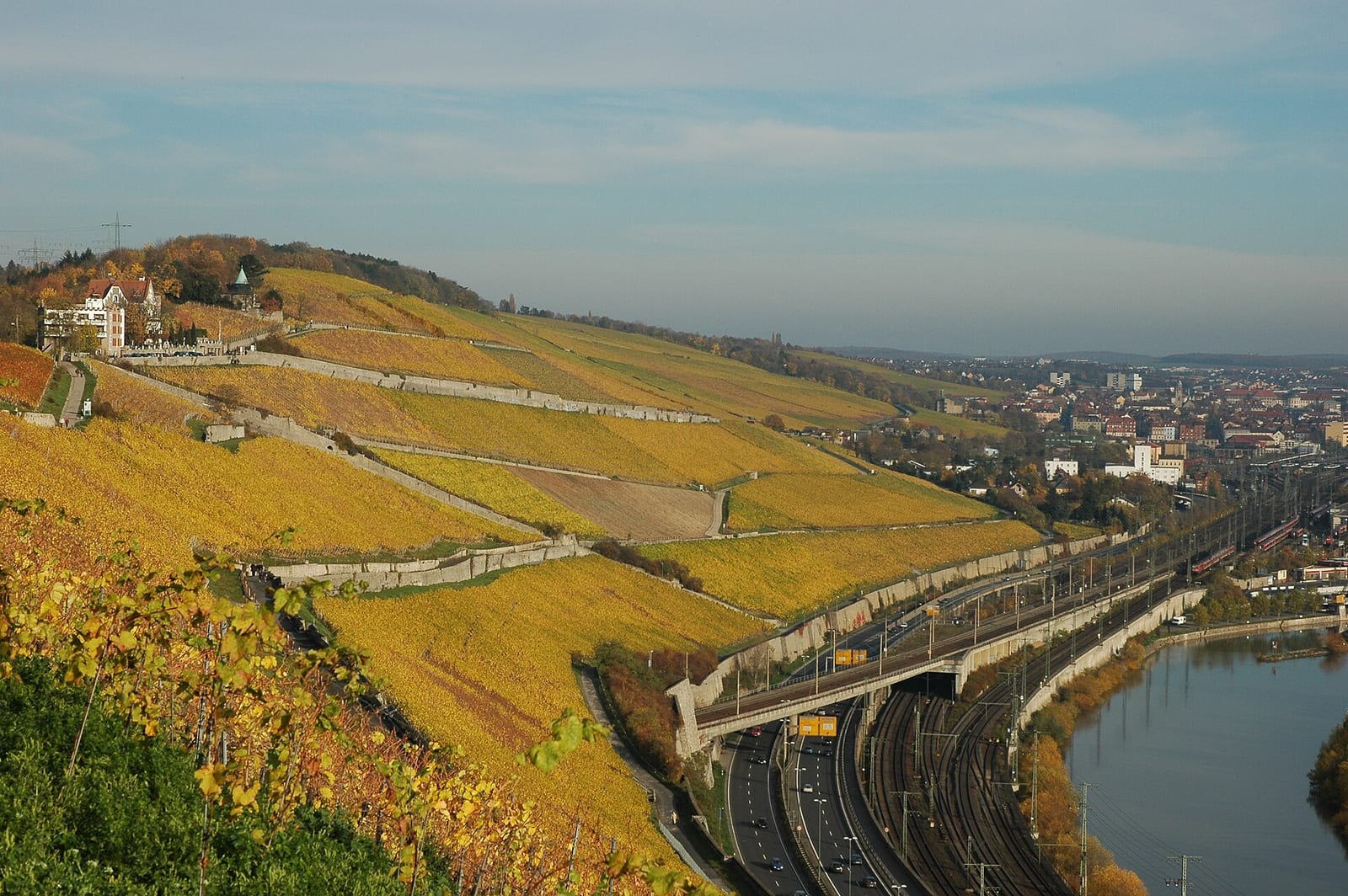Weinberge der Lage Würzburger Stein über dem Maintal bei Würzburg